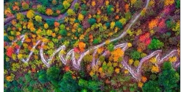 鄉(xiāng)村振興需避免這15個(gè)雷區(qū)！