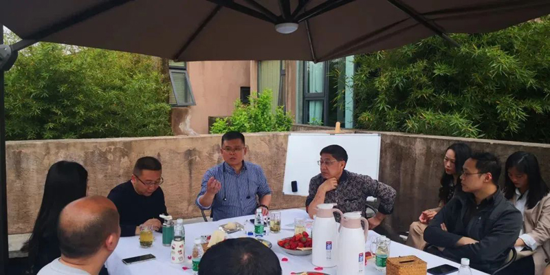 鄉(xiāng)村振興—青白江篇“杏花山上”項目策劃、規(guī)劃的專題會議