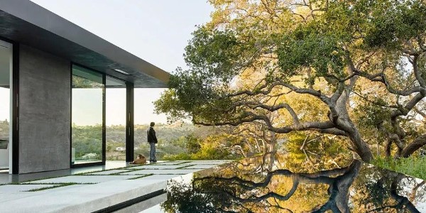 會種樹，讓設(shè)計(jì)具有高級感！